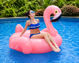 Giant Inflatable Flamingo