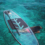 Used Lake Monster Clear Hardboard