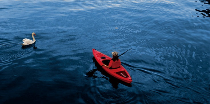 Kayak De Pesca Para 1 Adulto Seaflo De 10'6 Incluye Remo